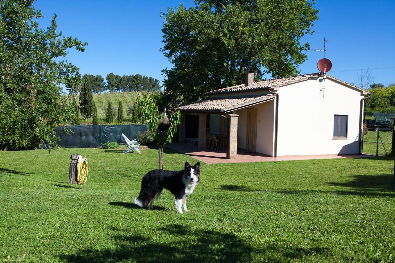 Casa Marta Villa Pitigliano Habitación foto